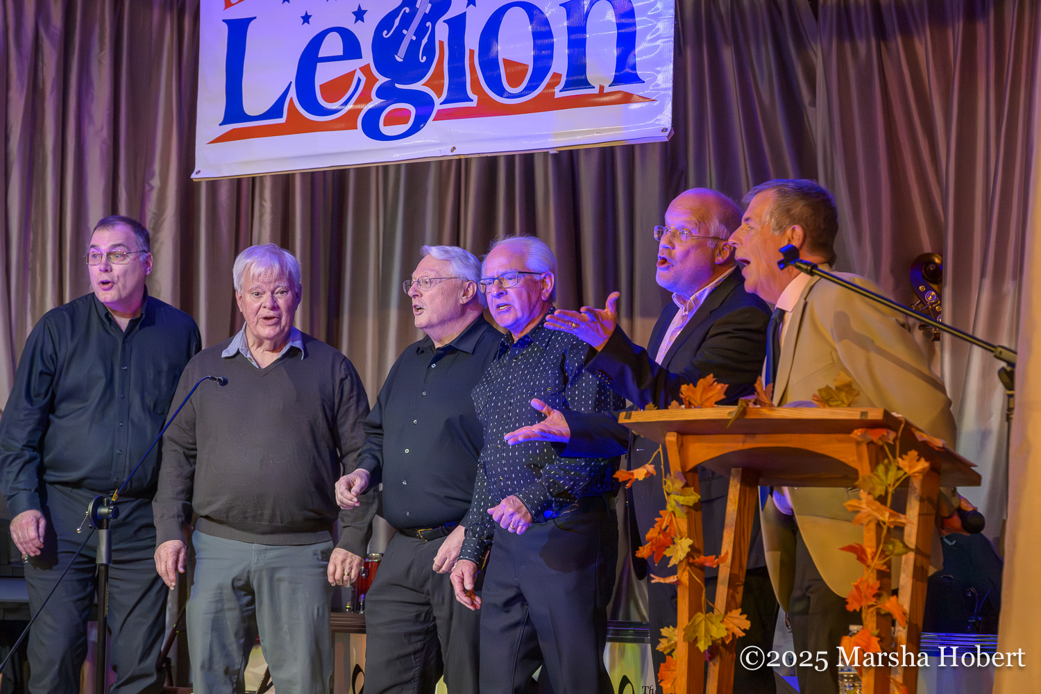 Nada Quartet onstage at the Tranquil Valley Radio Show